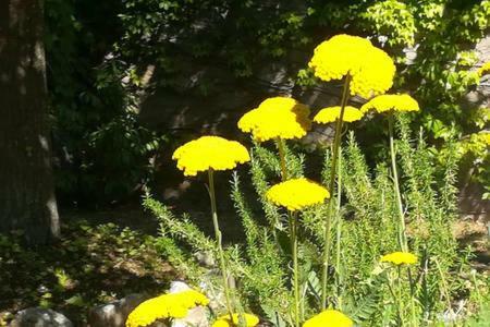B&B Villaggio Sole Sulmona Luaran gambar